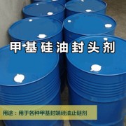 甲基硅油封头剂