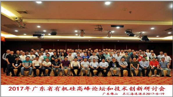 【会议】中国有机硅产业发展高峰论坛与技术应用创新研讨会