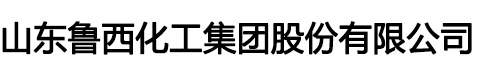 山东鲁西化工集团股份有限公司