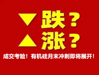 成交考验！有机硅月末冲刺即将展开！