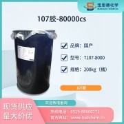 107室温硫化硅橡胶