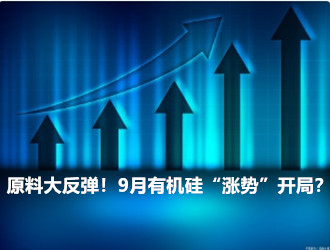原料大反弹！9月有机硅“涨势”开局？【周报】