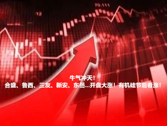 牛气冲天！合盛、鲁西、三友、新安、东岳...开盘大涨！有机硅节后看涨！