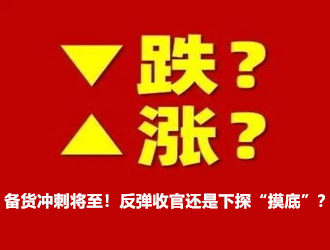 有机硅：备货冲刺将至！反弹收官还是下探“摸底”？