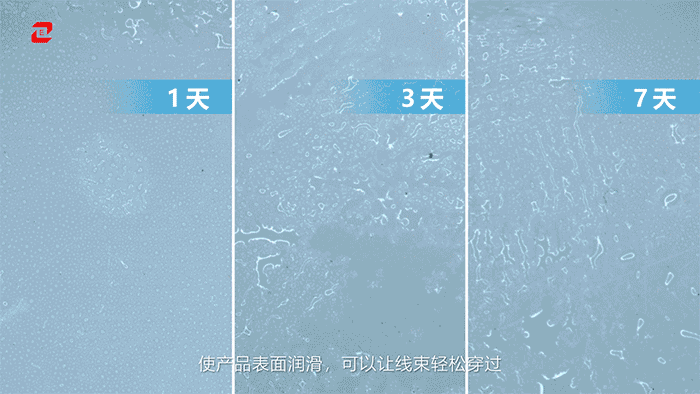 密封3.1