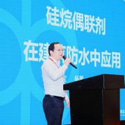安徽硅宝受邀出席2025有机硅精细化学品技术会并作专题报告