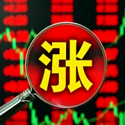 DMC累涨2000！合盛、新安、东岳、兴发、三友集体飘红！107胶、硅油跟涨不停！速看！